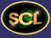 SCL provide quality commercial website hosting