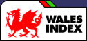 Wales Index Logo Design