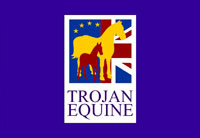 Welsh Logo Design